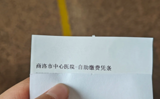 陇南找人代替抽血商洛入职体检服务