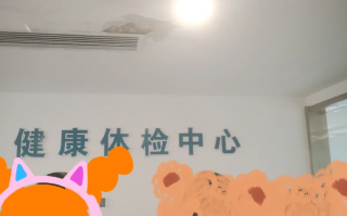 陇南找人代替抽血陇南入职体检服务