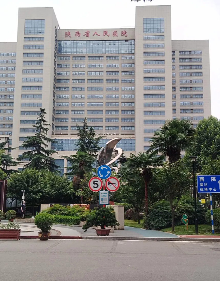 陇南找人代替抽血西安体检服务-第1张图片-代解忧