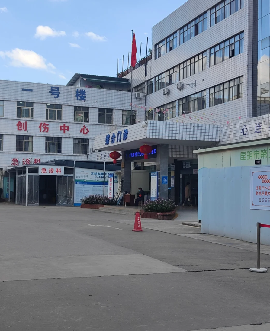 陇南找人代替抽血昆明入职体检服务-第1张图片-代解忧