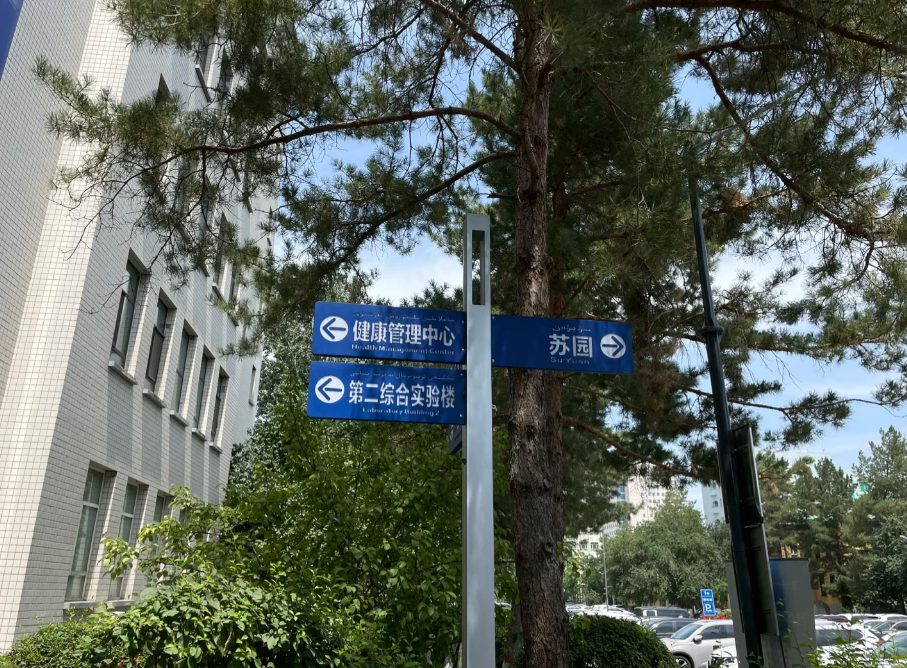 陇南找人代替抽血乌鲁木齐入职体检服务-第1张图片-代解忧