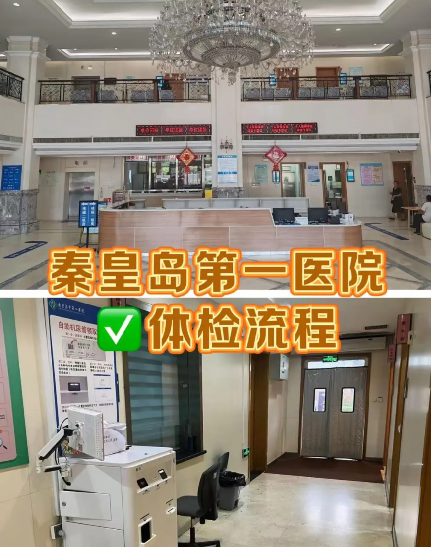 陇南找人代替抽血秦皇岛入职体检服务-第1张图片-代解忧