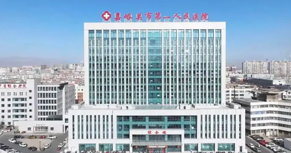 陇南找人代替抽血嘉峪关入职体检服务-第1张图片-代解忧