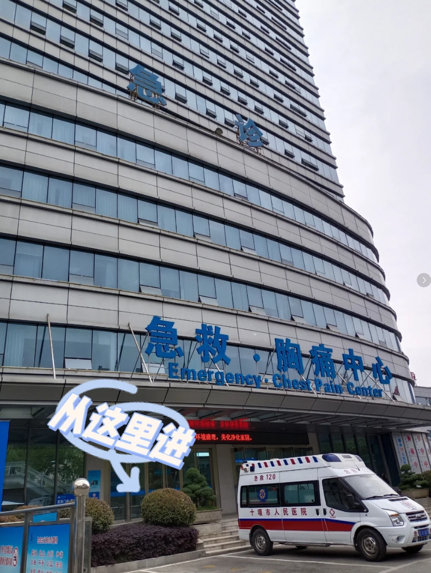 陇南找人代替抽血十堰入职体检服务-第1张图片-代解忧