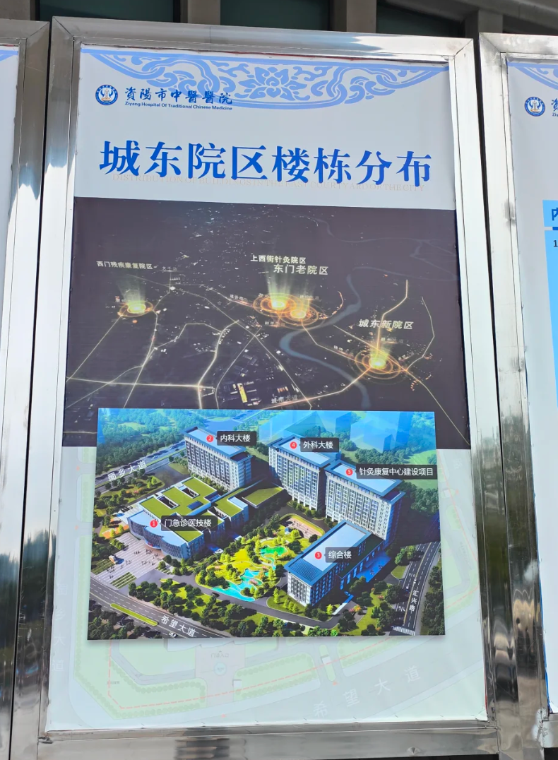 陇南找人代替抽血资阳入职体检服务-第1张图片-代解忧